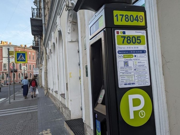 Петербуржцы смогут обжаловать штраф за оплату парковки в электронном виде