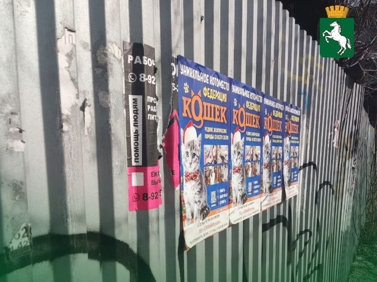 Организатора выставки кошек оштрафовали за рекламу на заборах Томска