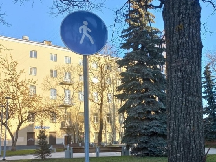 Знак «Пешеходная дорожка» установят на тротуаре у псковского детского сада №3