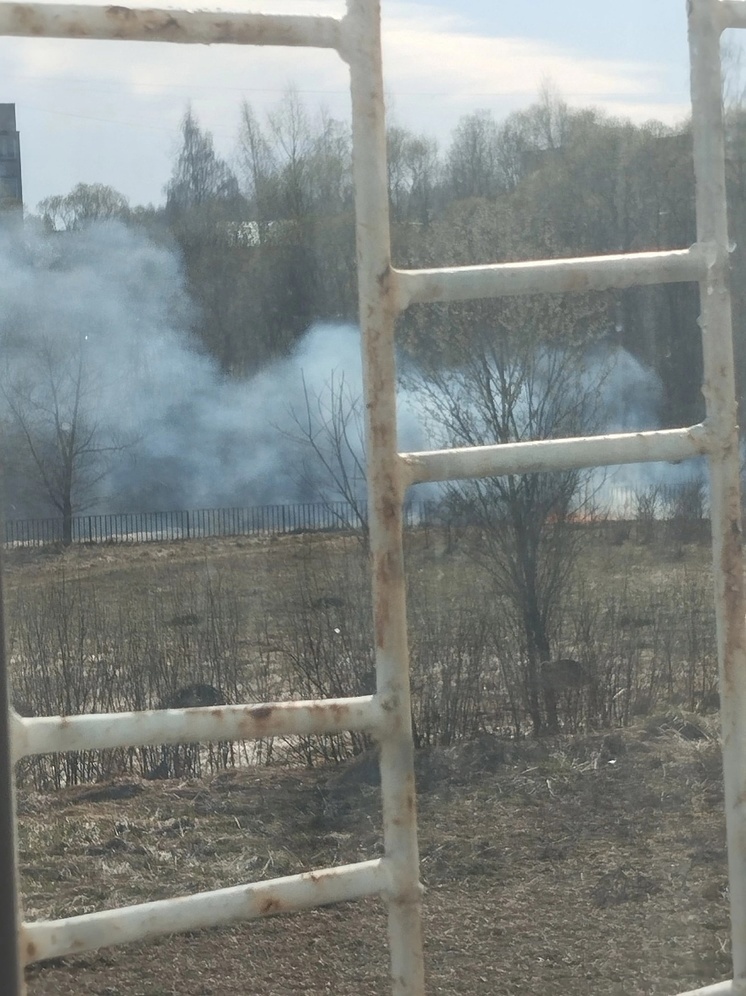 В Тверской области возле школы горела трава и валил густой дым