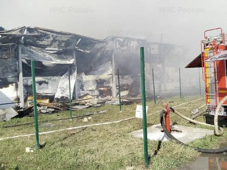 Спасатели продолжают тушить пожар на брянской птицеферме