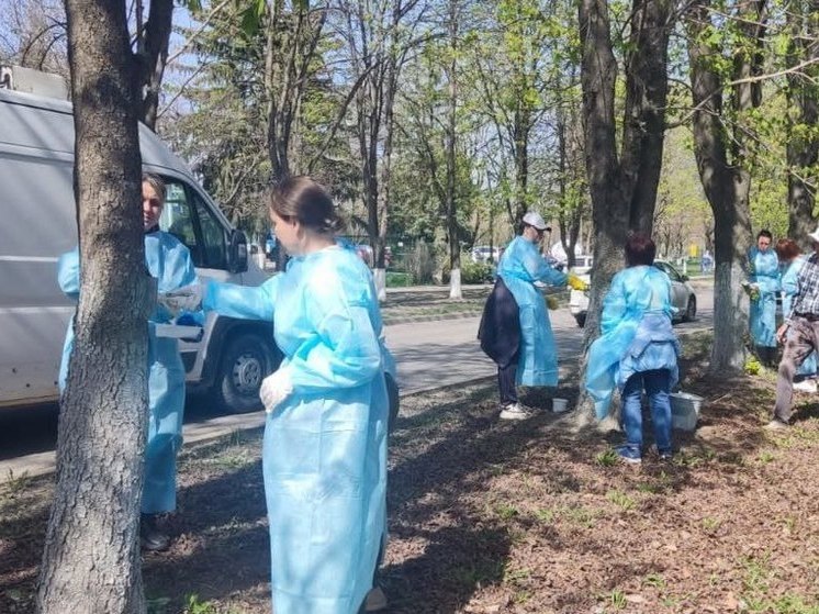 Чиновники Ессентуков вышли в обед на побелку деревьев в городе