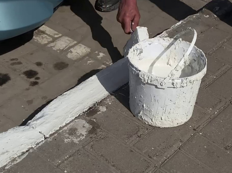 Белгородские коммунальщики приступили к покраске бордюрного камня