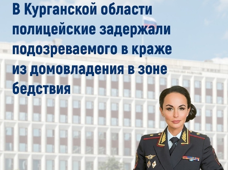 Оставленные из-за паводка курганские дома начали грабить