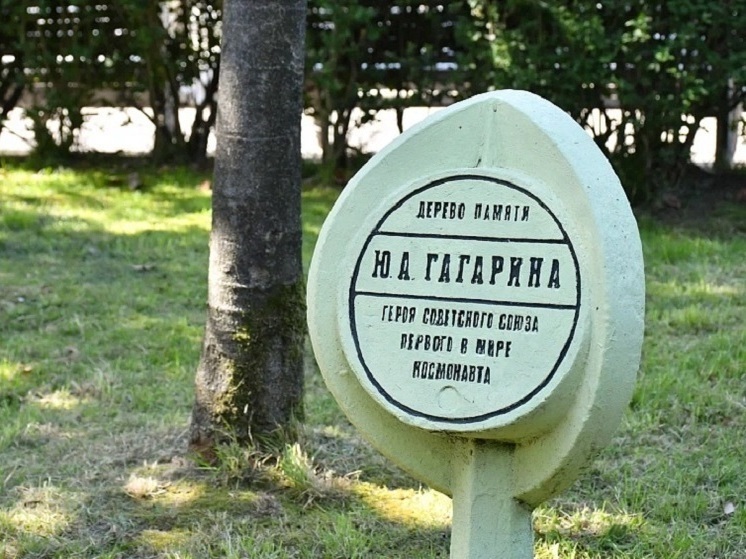В Сочи провели «Космическую экскурсию» в парке, где Гагарин посадил магнолию