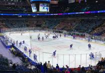 Петербургский хоккейный клуб СКА отправил письма всем клубам Континентальной хоккейной лиги с проектом реформы судейского корпуса, сообщил «Чемпионат».