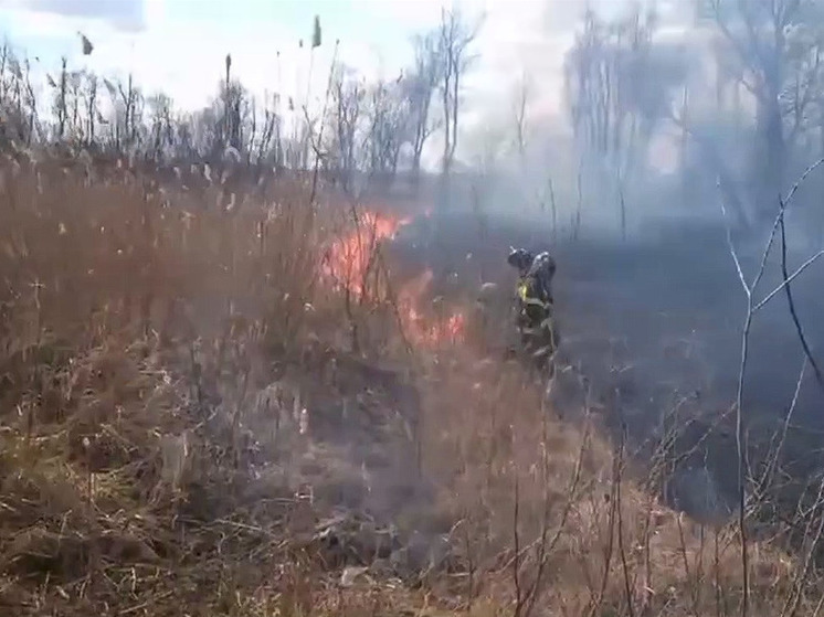 В Курской области восьмиклассник и его друг помогли пожарному потушить горящую траву