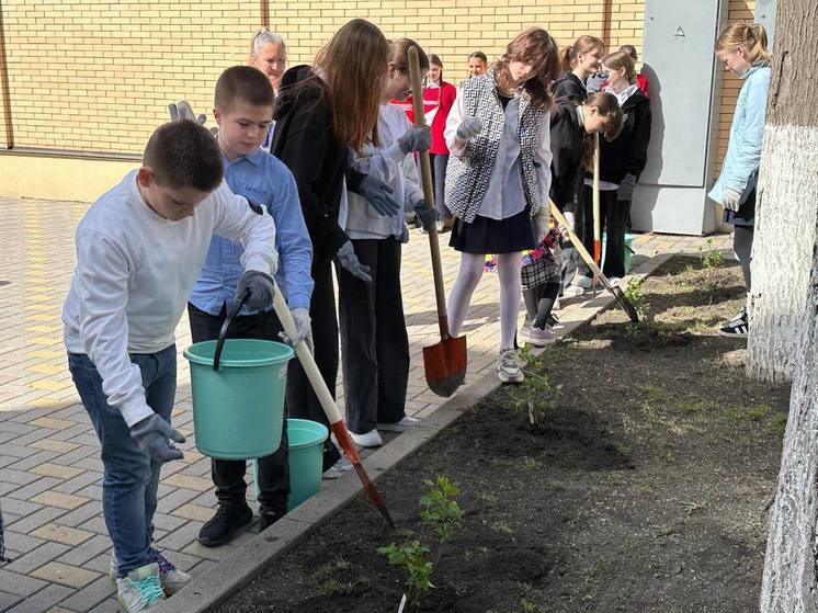 Школьники из Белгорода высадили в Пятигорске знаменитую белгородскую сирень