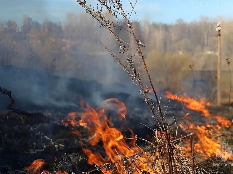 В Углегорском районе загорелась сухая трава на площади 150 квадратных метров