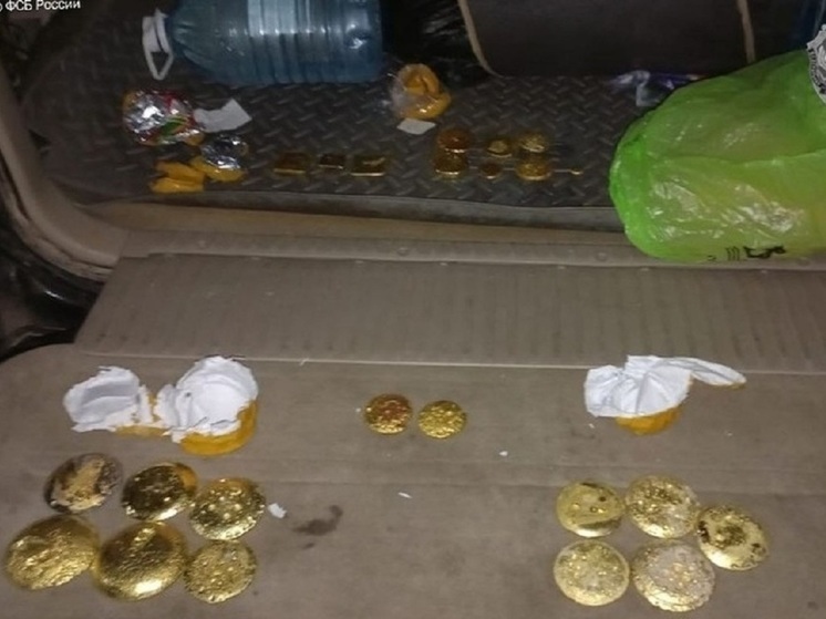 Наркотики и золото на 47 млн рублей нашли в Land Cruiser забайкальца