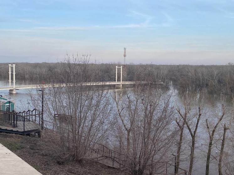 В Оренбурге 13 апреля уровень воды в Урале достиг отметки 11 метров 71 сантиметр