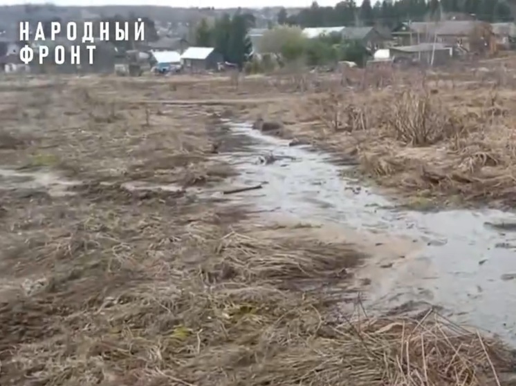 В Рыбинском районе не первый год текут нечистотные ручьи