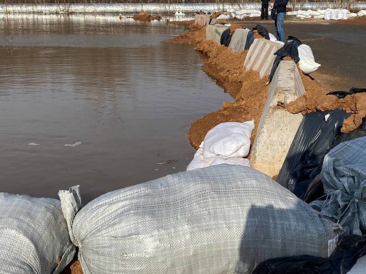 В Оренбурге на Донковцева мешки с песком спасли дворы от затопления