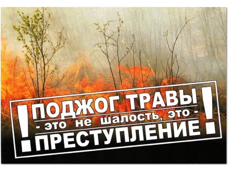 В Ярославле «фейерверкеры» начали поджигать траву
