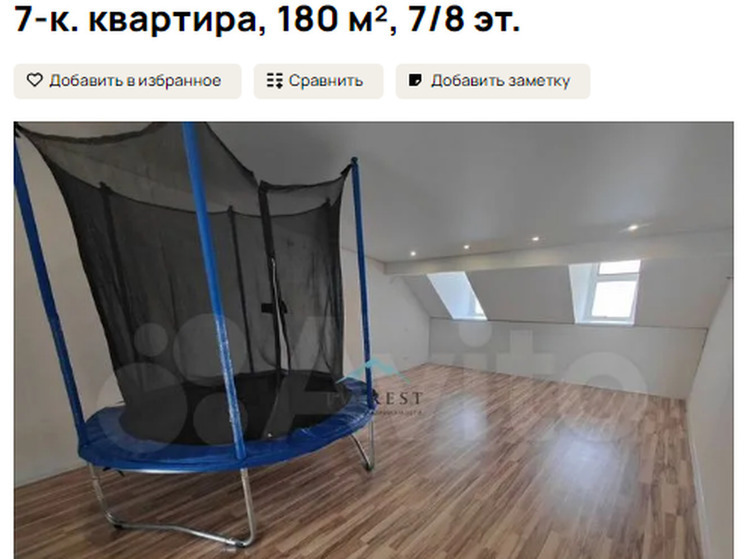 В центре Омска за 25,5 млн рублей продают 7-комнатную квартиру с батутом