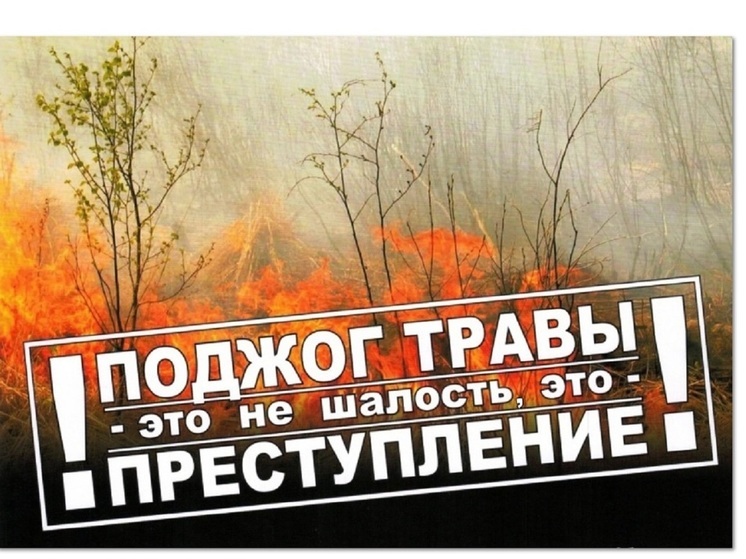 Причиной пожара в Костромском районе оказалась детская шалость