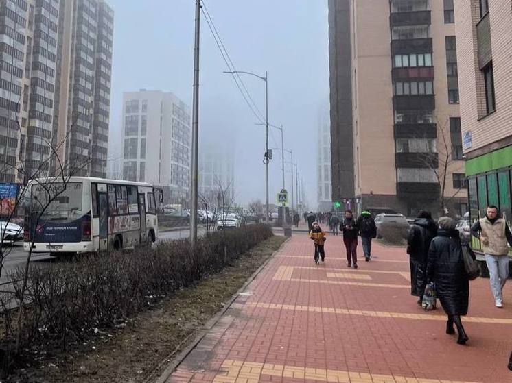 Облачность и туман: какая погода ждет жителей Ленобласти 13 апреля