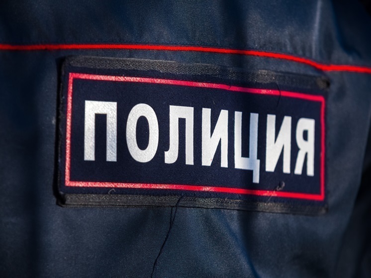 В Челябинске задержали молодого человека, изуродовавшего машины скорой помощи