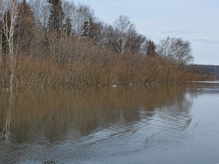 В деревню Черная Речка под Томском пришла вода