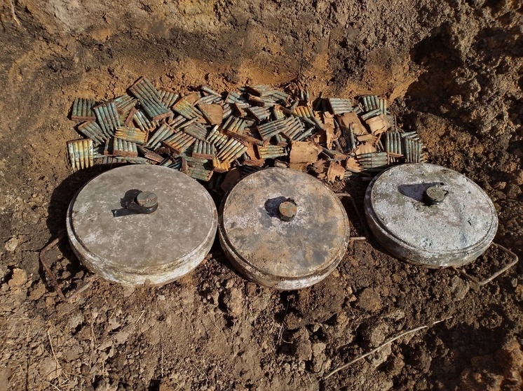 Липецкие спасатели обезвредили три противотанковые мины