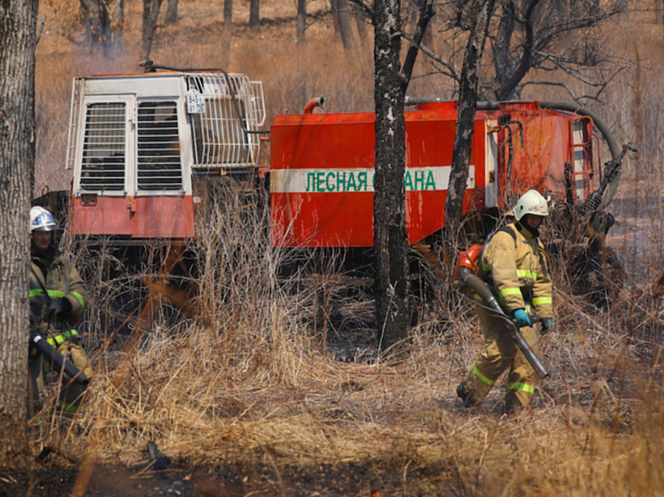 За сутки в Приморье потушили 25 пожаров