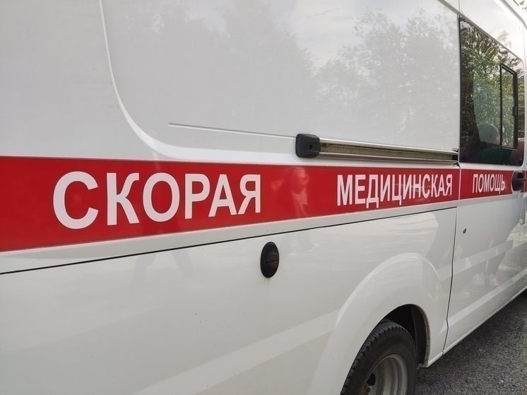 Житель Петрозаводска порезал товарищу голову стопкой из-за детей