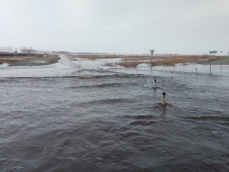 Паводок подтопил СНТ «Солнечная долина» под Новосибирском