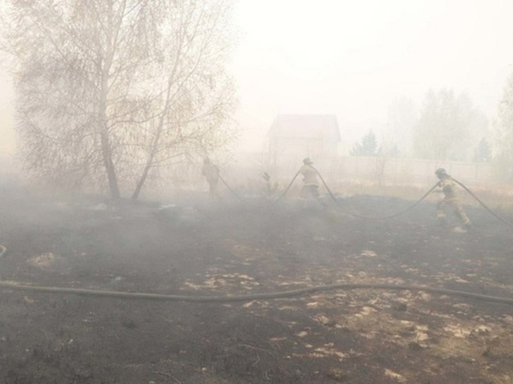 Ландшафтный пожар случился в Кургане