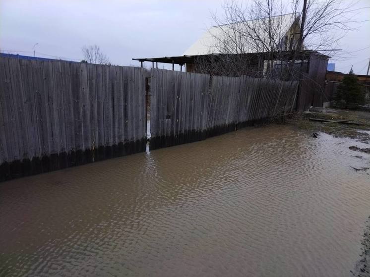 Уровень воды в Чёрной речке под Томском упал на 30 см