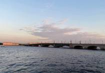 Ночью с 13 на 14 апреля разводка мостов не запланирована, однако все же одна переправа поднимется над Невой. Об этом сообщили в пресс-службе «Мостотрест».