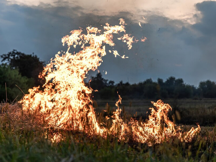 В Орле МЧС развенчивает миф о сжигании травы для урожая