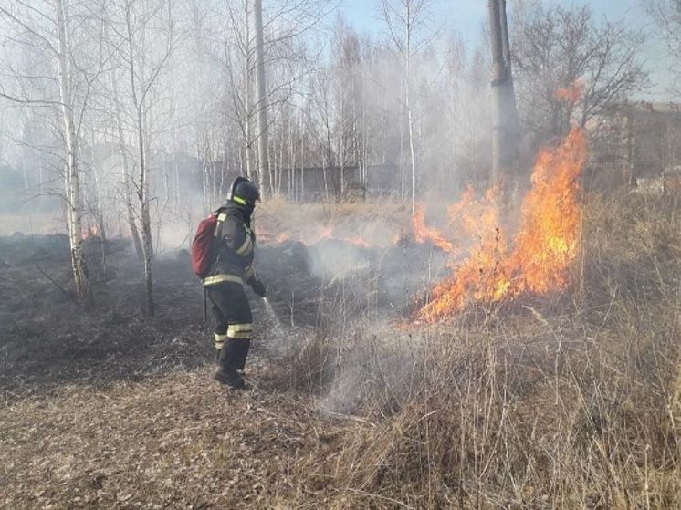 14 гектаров сухостоя сгорело во Владимирской области
