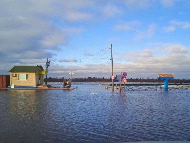В Шенкурске подтоплен подъезд к городу в результате паводка