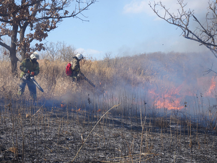 За сутки в Приморье зафиксировано 30 природных пожаров