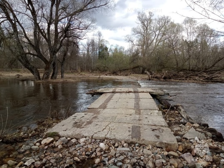 Паводковая ситуация в Смоленской области