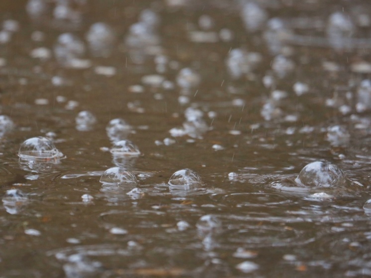 Экстренное предупреждение из-за ветра и дождя объявили в Забайкалье