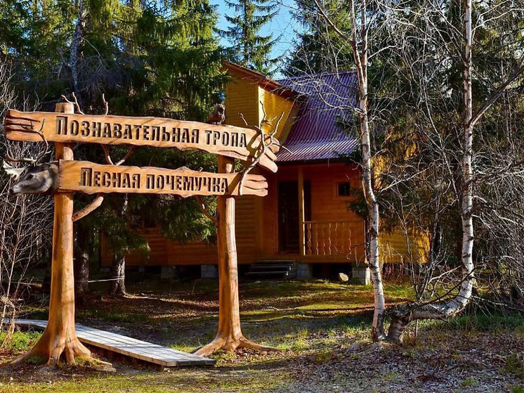 Заполярные предприниматели получат до 1 млн рублей на развитие туристских проектов
