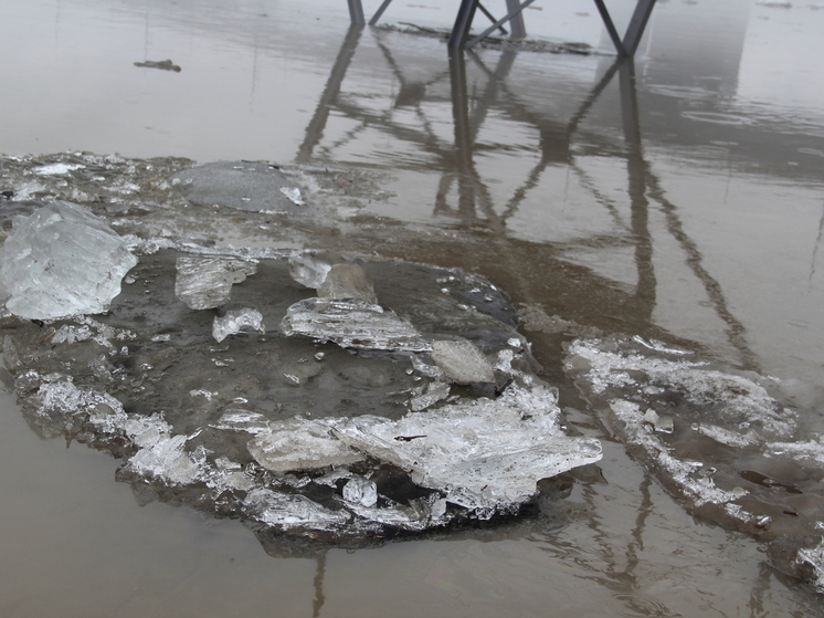 Первая волна паводка уходит из Алтайского края