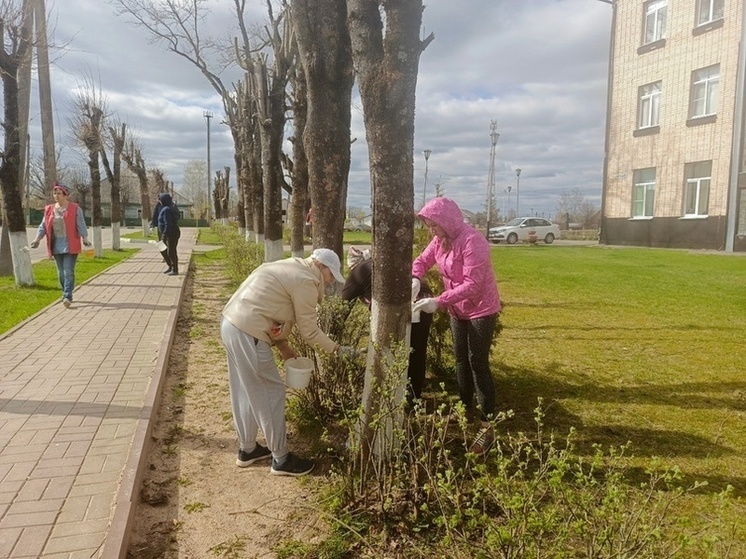 В Ершичах прошел весенний субботник