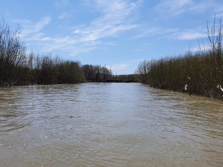 В реке Сусуя в Южно-Сахалинске прогнозируют подъём уровня воды