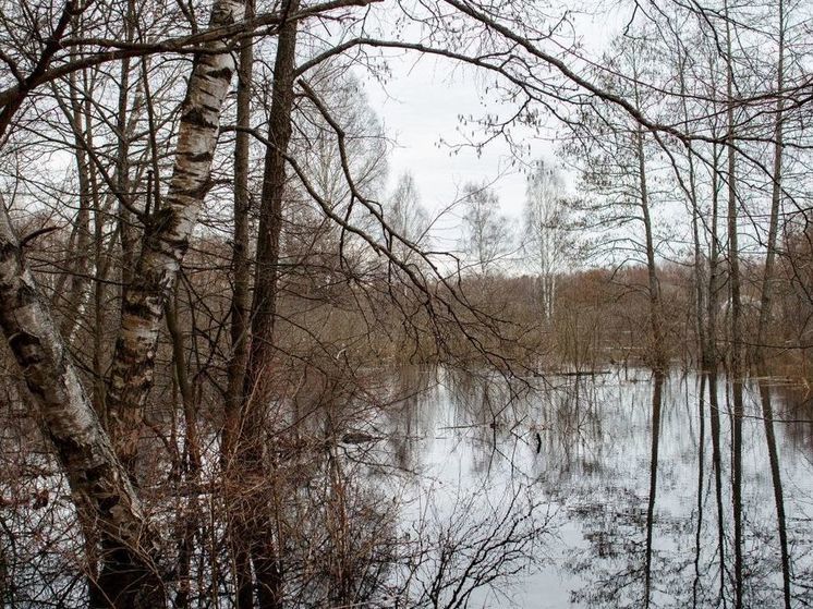 Евгений Тишковец предупредил о ливнях в воскресенье
