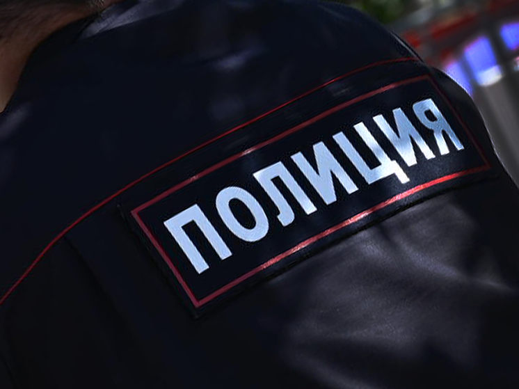 Челябинские полицейские раскрыли грабёж в баре