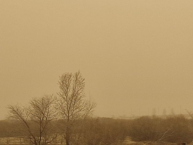 Пыльные бури из Монголии обрушились на приграничные районы Забайкалья