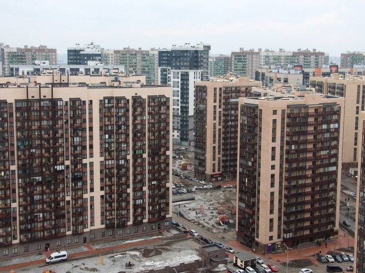 В Петербурге продажи жилья в новостройках выросли на 55 %