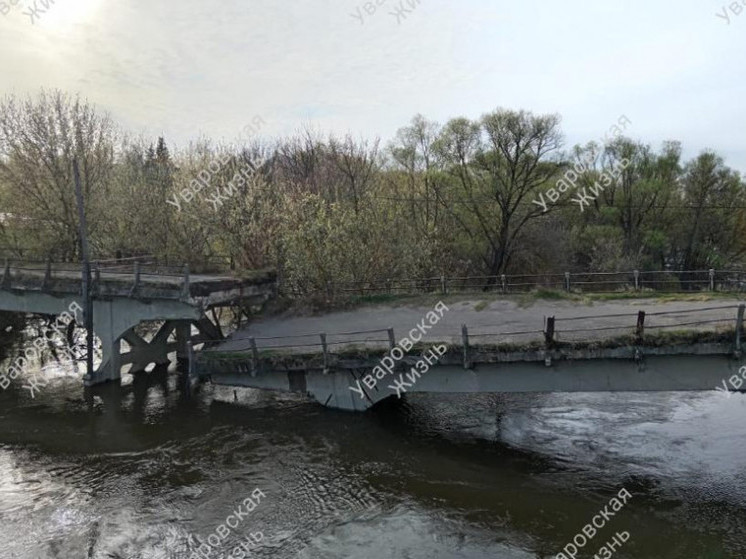 В Тамбовской области рухнул мост через реку Ворона