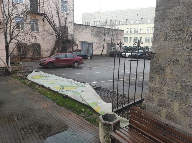 Жителей Новгородской области предупредили о сильном ветре 15 апреля