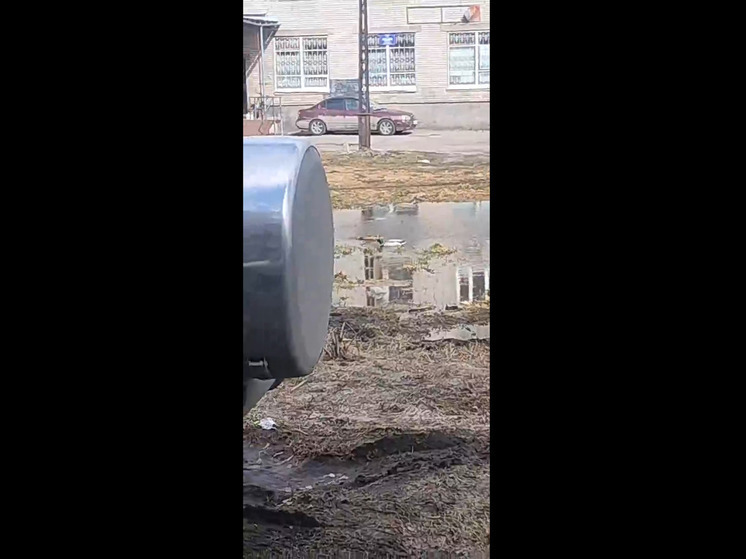 Вороны помылись в пруду посреди двора в Петрозаводске