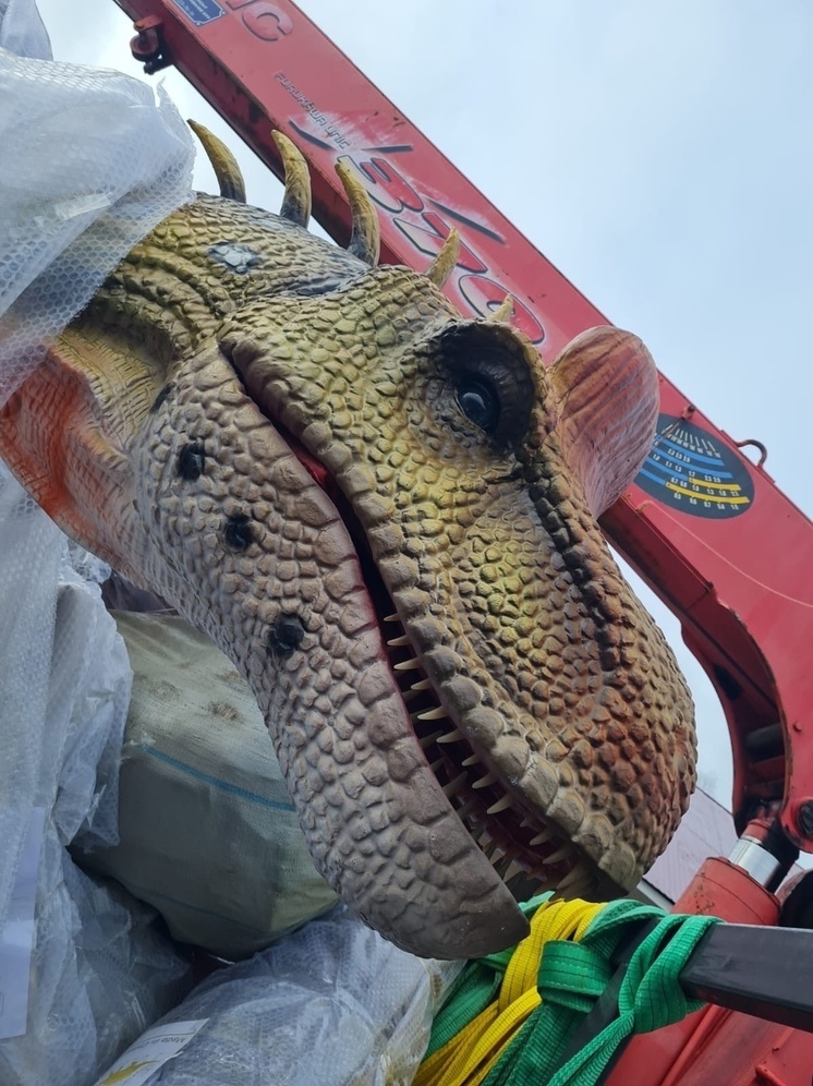 Гигантские динозавры приехали в Петрозаводск