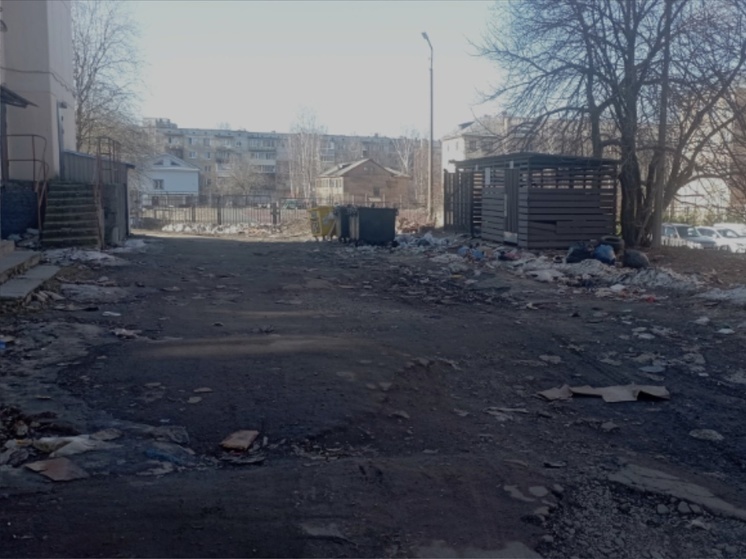 Жители Петрозаводска пожаловались на свинство во дворе за Арбитражным судом