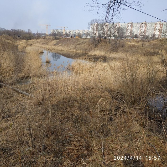 Овраг с болотцем отдали под школу в Хабаровске: фото